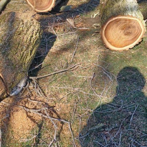 470196577_525870780446114_768353830348172052_n