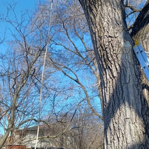 470205518_525871020446090_2118049906504690150_n