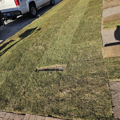 480545980_573565672343291_6810492126585668178_n