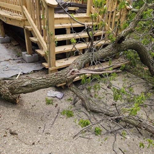 481086384_578653708501154_1903050056596214076_n